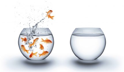 Goldfish jumping out of bowl with other Goldfish in