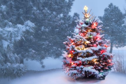 Christmas tree with lights covered in snow shining brightly